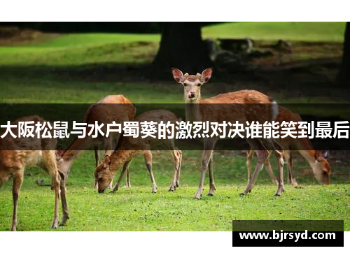 大阪松鼠与水户蜀葵的激烈对决谁能笑到最后